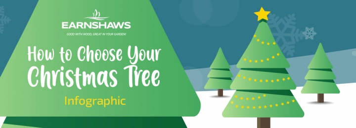 A Guide to Choosing the Right Christmas Tree