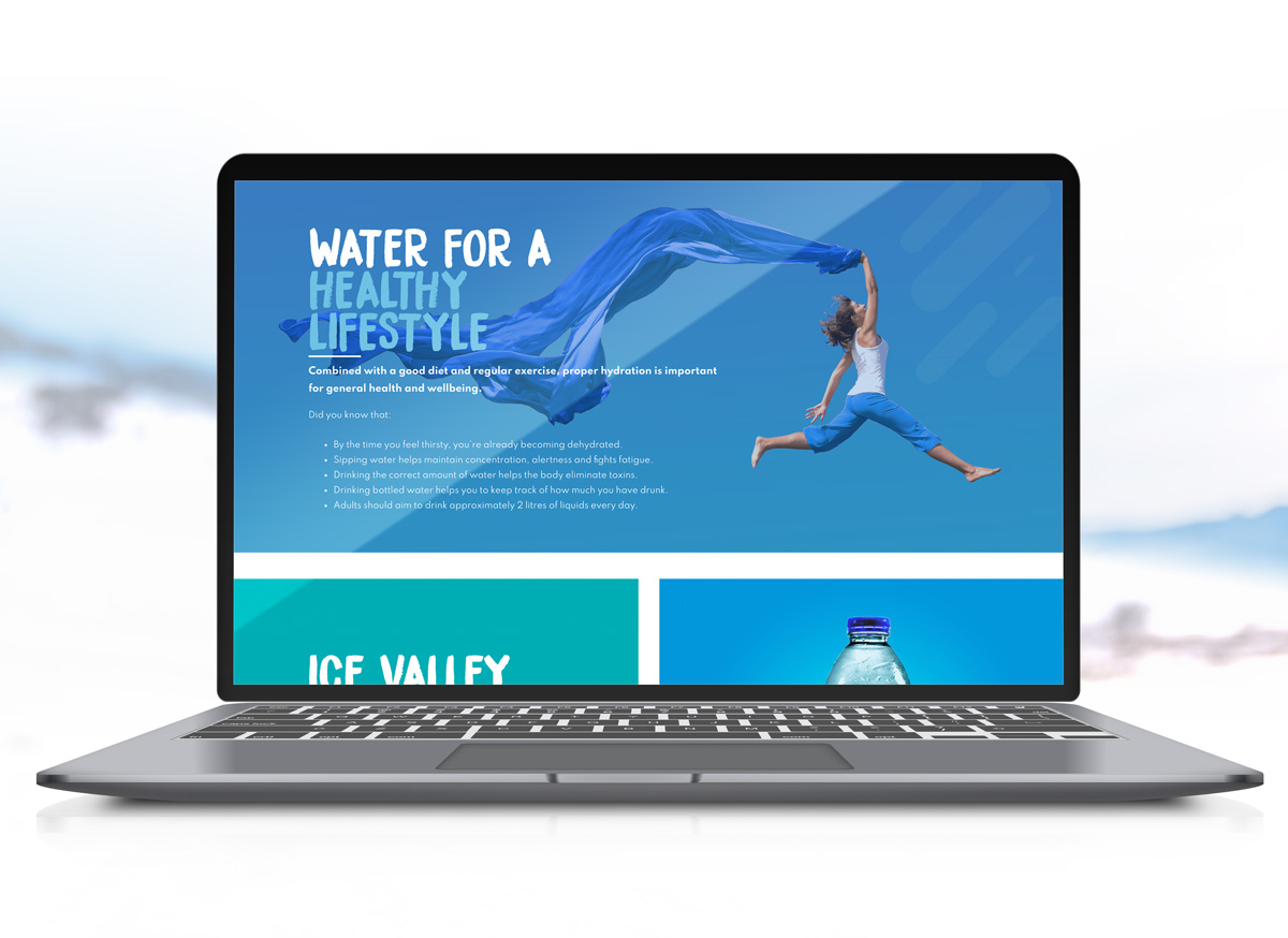 Ice Valley Website Design