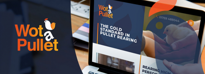 Wot? A New Brand Identity for Wot a Pullet?